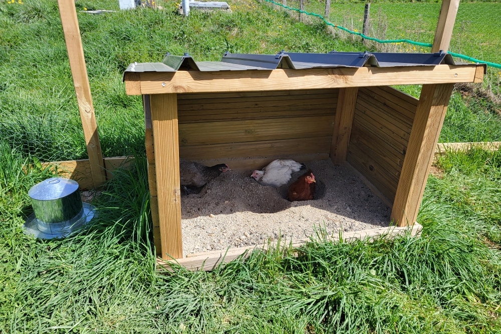 Camping-nature-mini-ferme-poule